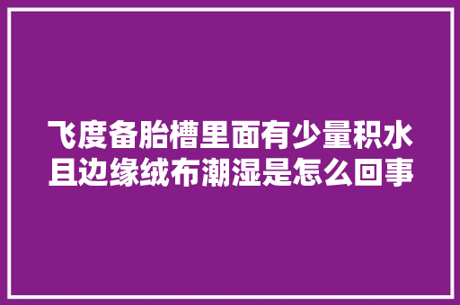 飞度备胎槽里面有少量积水且边缘绒布潮湿是怎么回事 汽车知识