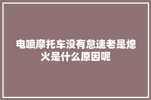 电喷摩托车没有怠速老是熄火是什么原因呢