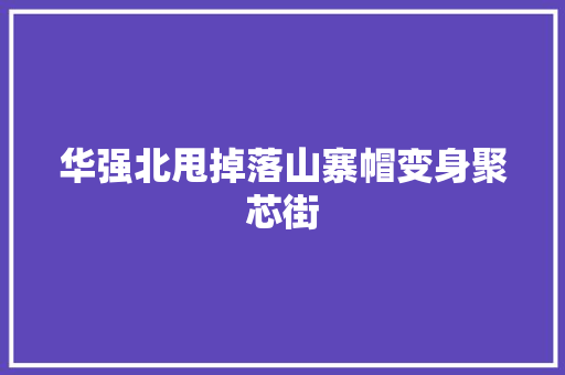 华强北甩掉落山寨帽变身聚芯街