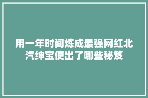 用一年时间炼成最强网红北汽绅宝使出了哪些秘笈