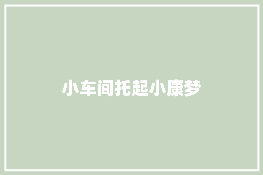 小车间托起小康梦