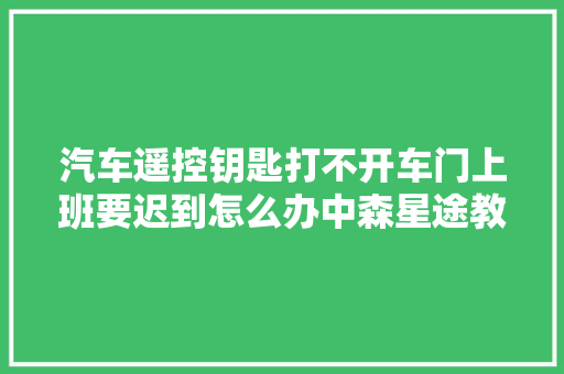 汽车遥控钥匙打不开车门上班要迟到怎么办中森星途教你