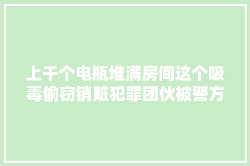 上千个电瓶堆满房间这个吸毒偷窃销赃犯罪团伙被警方打掉落
