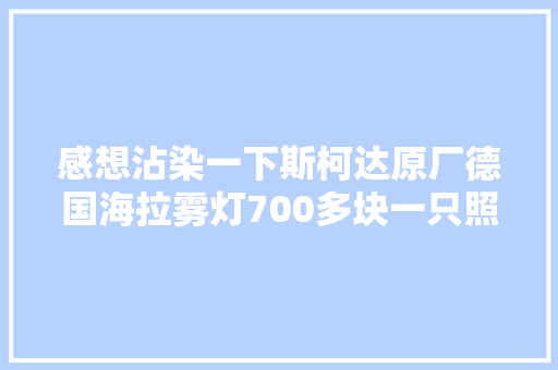 感想沾染一下斯柯达原厂德国海拉雾灯700多块一只照样卤素的