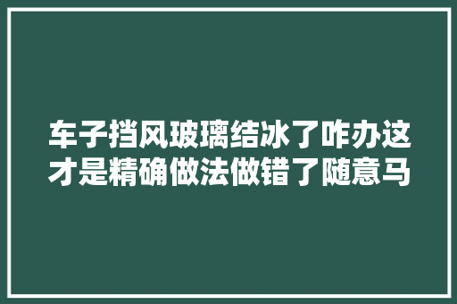 车子挡风玻璃结冰了咋办这才是精确做法做错了随意马虎搞坏车