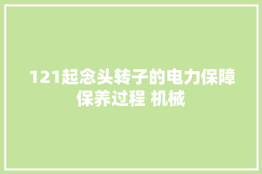 121起念头转子的电力保障保养过程 机械