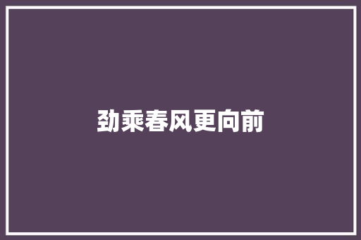 劲乘春风更向前