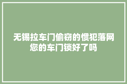 无锡拉车门偷窃的惯犯落网您的车门锁好了吗