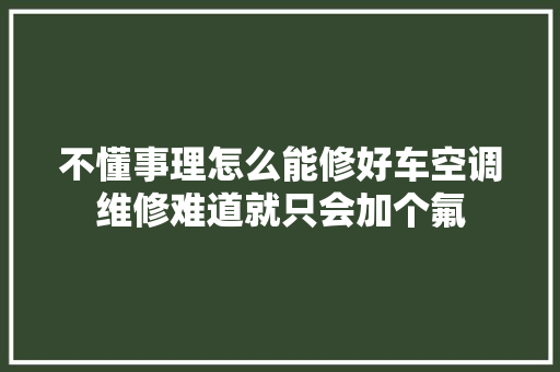 不懂事理怎么能修好车空调维修难道就只会加个氟