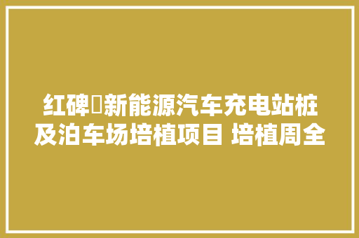 红碑塝新能源汽车充电站桩及泊车场培植项目 培植周全提速 估量下月底落成