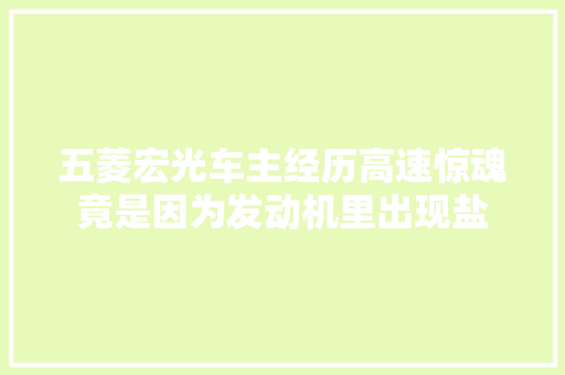 五菱宏光车主经历高速惊魂竟是因为发动机里出现盐