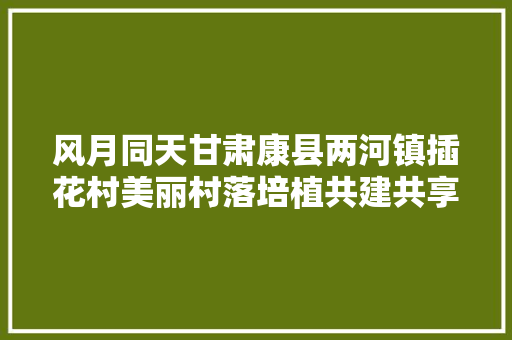 风月同天甘肃康县两河镇插花村美丽村落培植共建共享