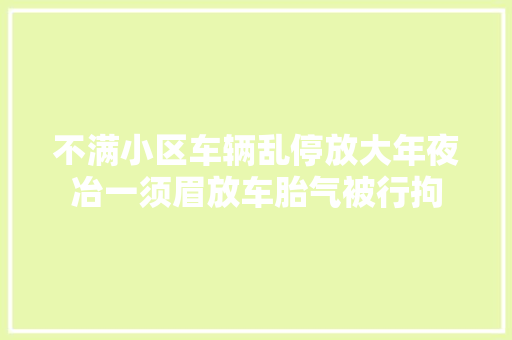 不满小区车辆乱停放大年夜冶一须眉放车胎气被行拘