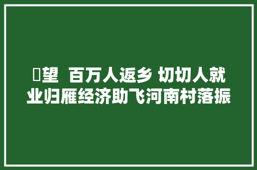 瞭望  百万人返乡 切切人就业归雁经济助飞河南村落振兴不雅观察