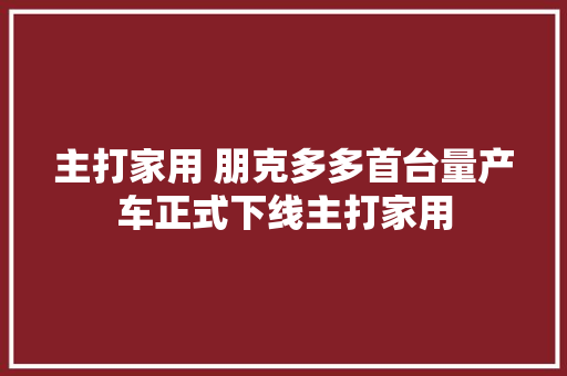 主打家用 朋克多多首台量产车正式下线主打家用
