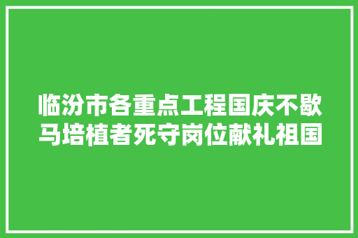 临汾市各重点工程国庆不歇马培植者死守岗位献礼祖国