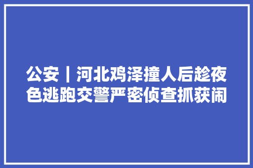 公安｜河北鸡泽撞人后趁夜色逃跑交警严密侦查抓获闹事者