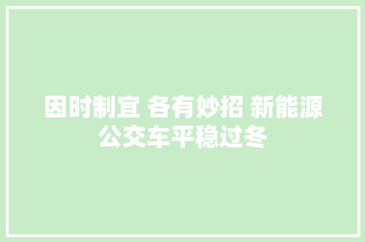 因时制宜 各有妙招 新能源公交车平稳过冬