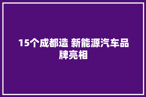 15个成都造 新能源汽车品牌亮相