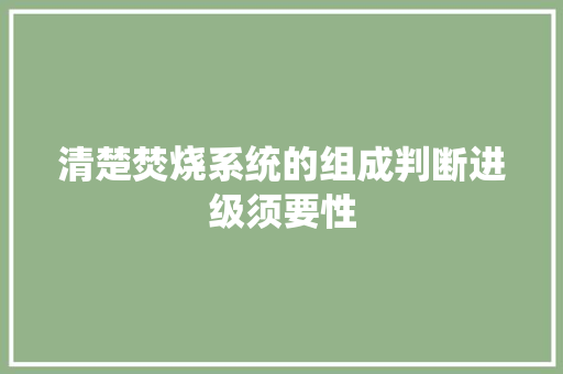 清楚焚烧系统的组成判断进级须要性