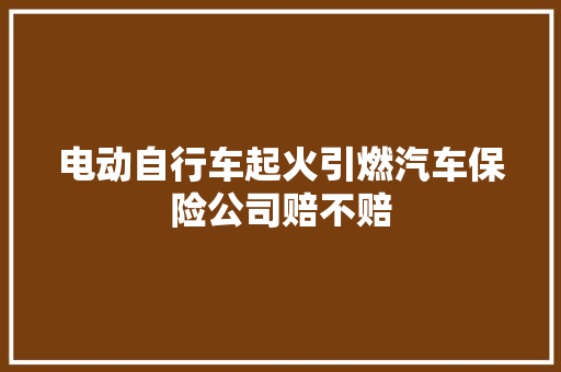 电动自行车起火引燃汽车保险公司赔不赔