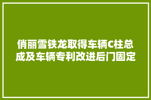 俏丽雪铁龙取得车辆C柱总成及车辆专利改进后门固定窗玻璃导槽的固定防止玻璃导槽翻转