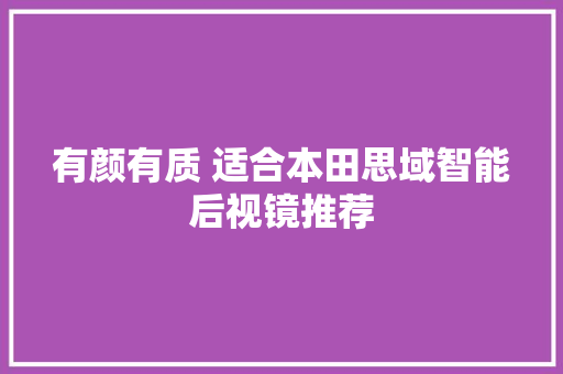 有颜有质 适合本田思域智能后视镜推荐