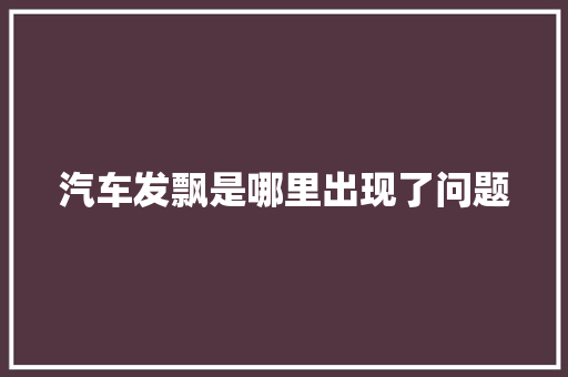 汽车发飘是哪里出现了问题