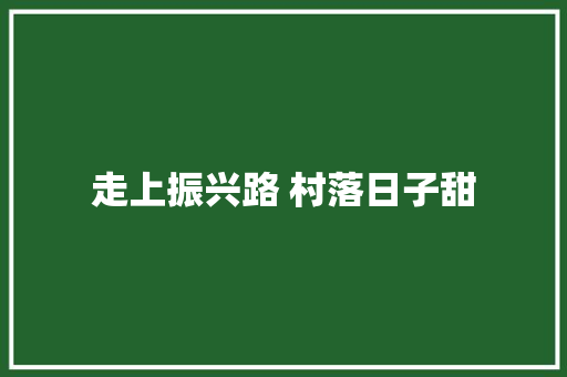 走上振兴路 村落日子甜
