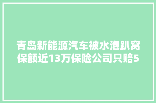青岛新能源汽车被水泡趴窝保额近13万保险公司只赔5万