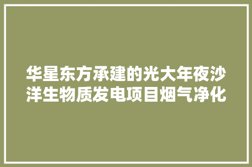 华星东方承建的光大年夜沙洋生物质发电项目烟气净化工程结构封顶