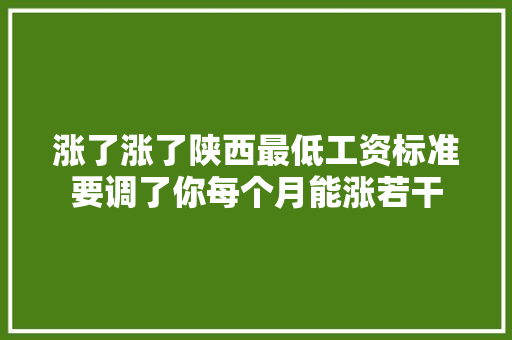 涨了涨了陕西最低工资标准要调了你每个月能涨若干  第1张