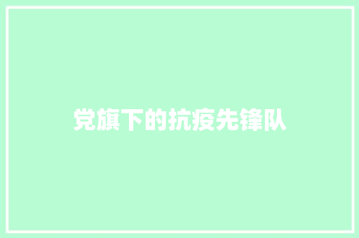 党旗下的抗疫先锋队