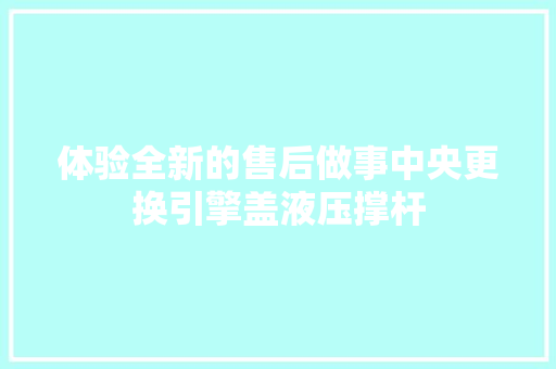 体验全新的售后做事中央更换引擎盖液压撑杆