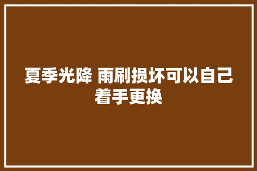 夏季光降 雨刷损坏可以自己着手更换