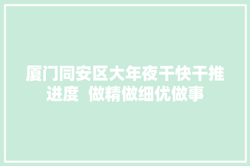 厦门同安区大年夜干快干推进度  做精做细优做事