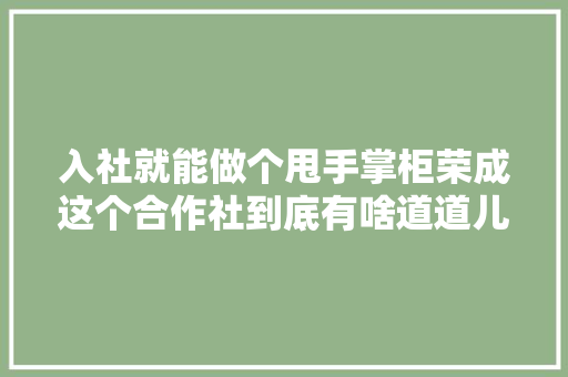 入社就能做个甩手掌柜荣成这个合作社到底有啥道道儿