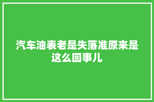 汽车油表老是失落准原来是这么回事儿