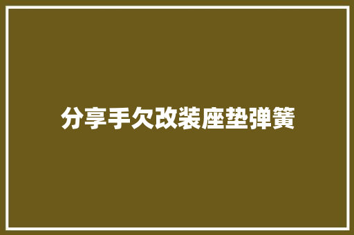 分享手欠改装座垫弹簧