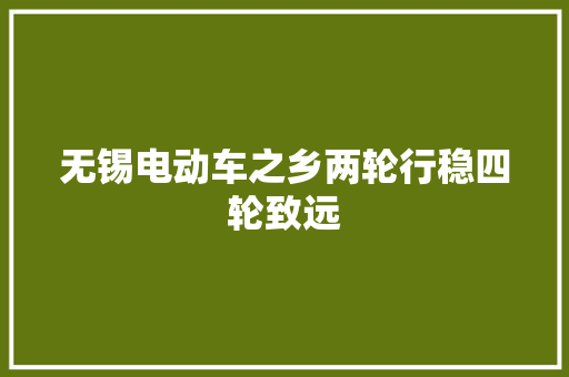 无锡电动车之乡两轮行稳四轮致远