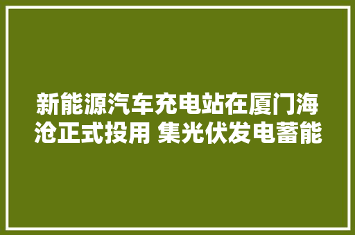 新能源汽车充电站在厦门海沧正式投用 集光伏发电蓄能等功能于一体