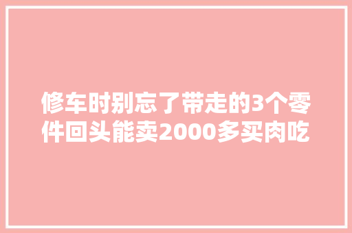修车时别忘了带走的3个零件回头能卖2000多买肉吃不喷鼻香吗