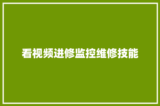 看视频进修监控维修技能