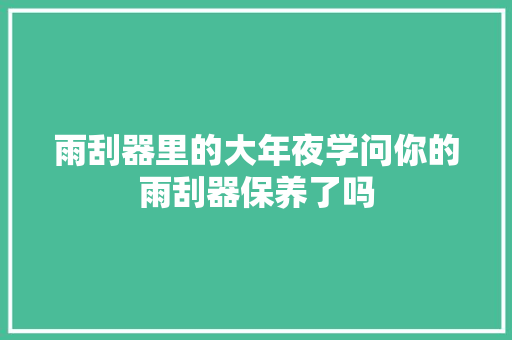 雨刮器里的大年夜学问你的雨刮器保养了吗