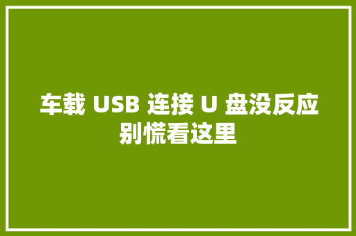 车载 USB 连接 U 盘没反应别慌看这里