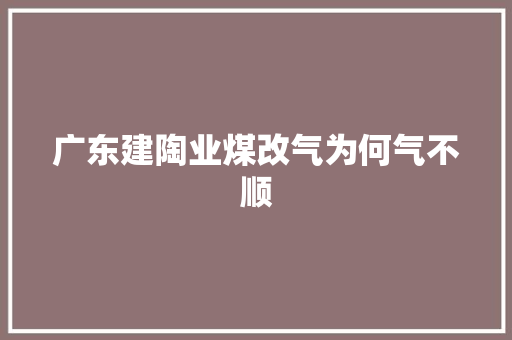 广东建陶业煤改气为何气不顺