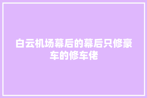 白云机场幕后的幕后只修豪车的修车佬