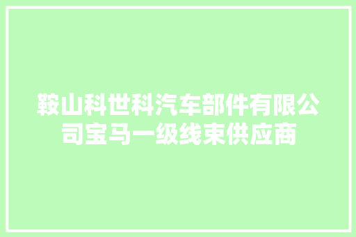 鞍山科世科汽车部件有限公司宝马一级线束供应商
