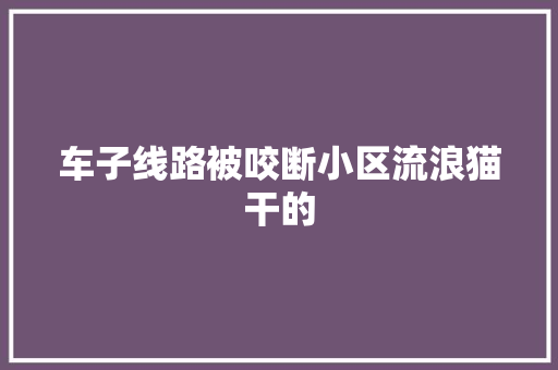 车子线路被咬断小区流浪猫干的 汽车知识