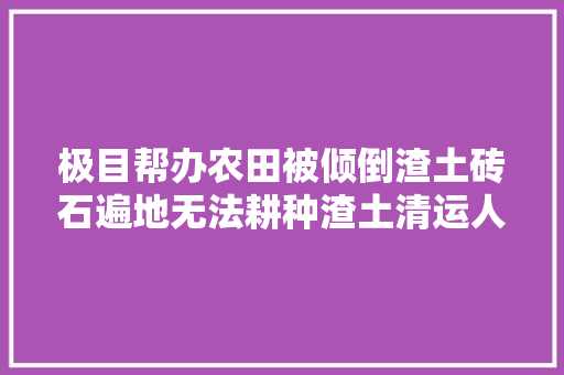 极目帮办农田被倾倒渣土砖石遍地无法耕种渣土清运人近期会将砖石清理干净